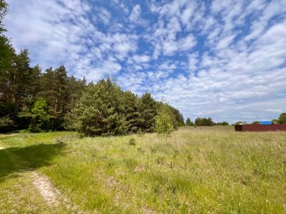 Ділянка 25 соток серед Соснового Лісу (Блиставиця) Гостомель