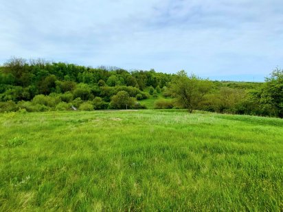 Земельна ділянка з живописною природою  під дачу Дергачи