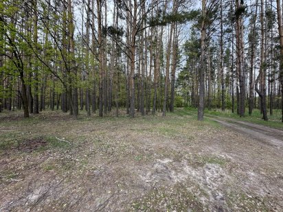 Ділянка в лісовому масиві Гостомель