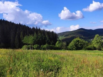 Земельна ділянка 15 сотих с. Рибник Дрогобич