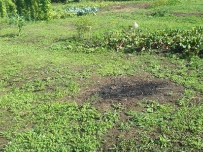 Продається земельна ділянка. Дрогобич