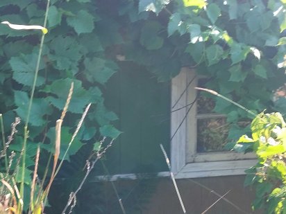 Cадовий участок в м.Долина Івано-Франківської обл Долина