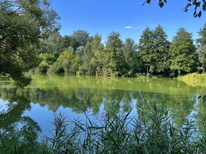 46.75 соток Перша Лінія від Озера Гостомель