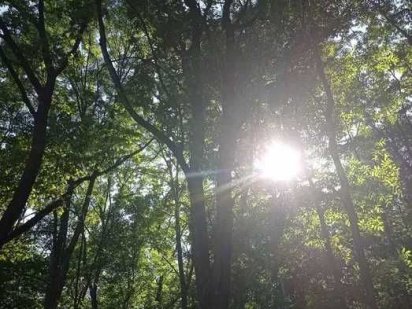 Продам земельну ділянку Гостомель