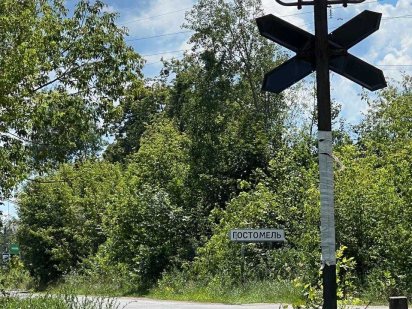 Продаж земельна ділянка ГОСТОМЕЛЬ 50 соток