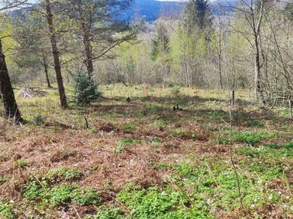 Продається ділянка М. Східниця під забудову Дрогобыч