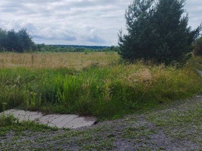 Земельна ділянка Дрогобич