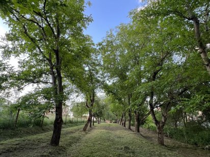 Земельна ділянка, Дрогобич, 12 сотих Дрогобич