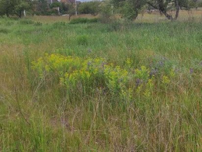 Ділянка 10 соток двох фасадна в Гостомелі вул. Надажинська Гостомель