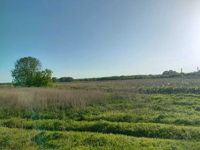 Продажа землі  1.725 га Горенка Гостомель