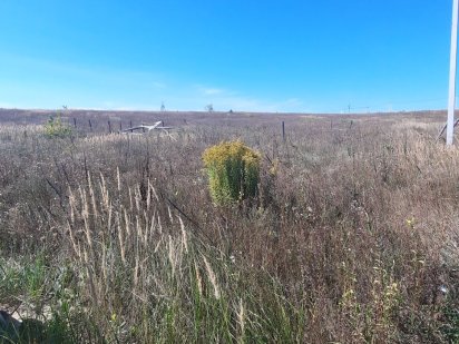 Ділянка на продаж Гостомель