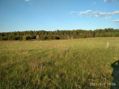 Участок в гостомелі Гостомель
