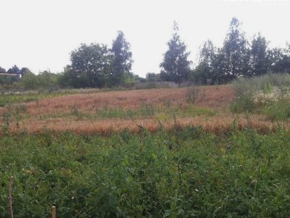 $ Продам ділянку Здолбунів Здолбунов