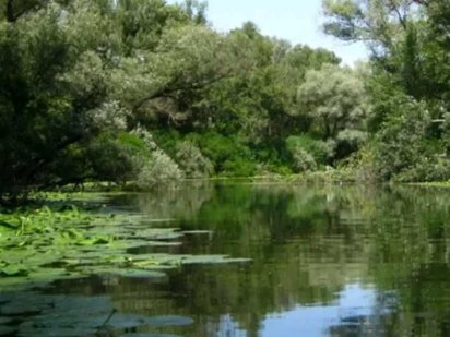 Участок 1 Га на берегу р. Дунай