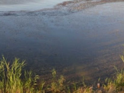 Участок на берегу Сафьянского лимана