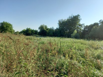 Земельна ділянка в м. Козятині затишне, тихе місце. Козятин