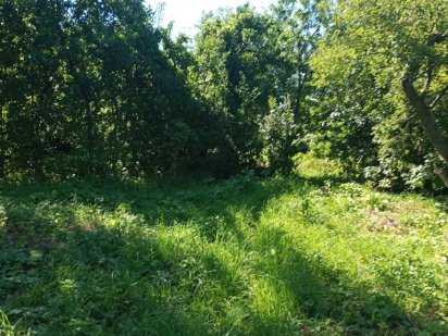 Продам земельну ділянку Козятин