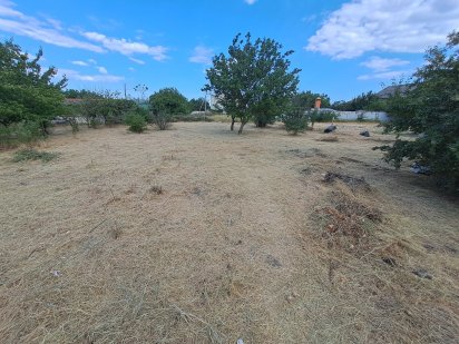 Продам участок у Моря в СО Ветеран Чорноморськ