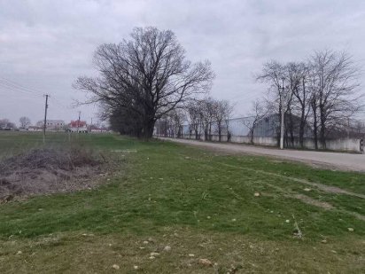 Молодежное (Черноморск). Фасадный участок 2Га с заездом с трассы Черноморск