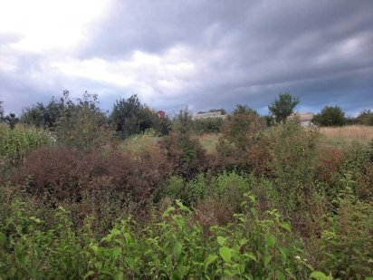 Терміново продається земельна ділянка  с.Колибаївка Кам'янець-Подільський