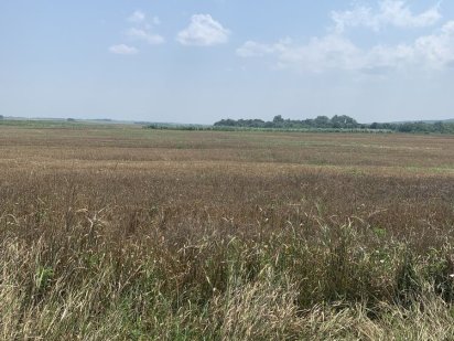 Продам земельну ділянку під забудову! Кам'янець-Подільський