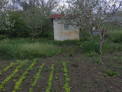 Продам длянку 45сотих у селі Кам'янка, Камянець-Подільський р-н Кам'янець-Подільський