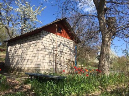 Дачна ділянка з будинком Мічурінець (Мичуринец, дача, огород, Канев) Канів