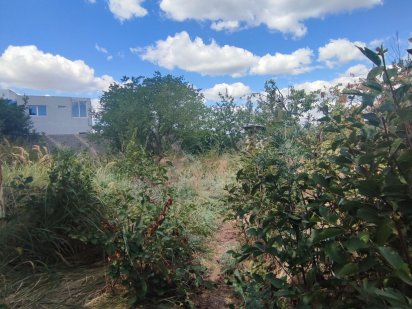 Участок, 1 линия Ветерана,  бетонка, 6 сот. Черноморск