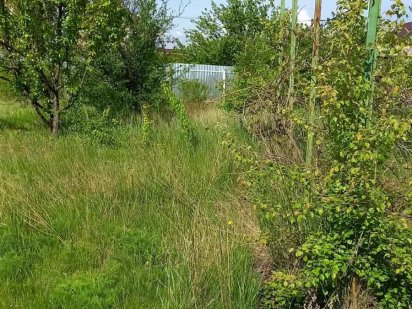 Продам земельну ділянку " Приморське" Чорноморськ