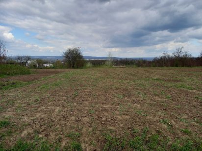 Продам земельну ділянку в м. Каневі Канев