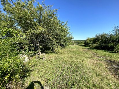 Земельна ділянка Кам'янець-Подільський