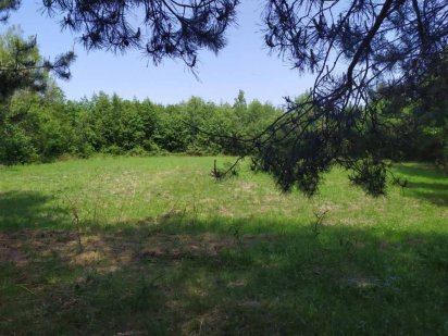 Продам земельну ділянку Ковель