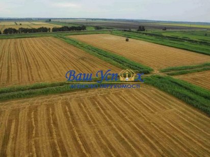 Продажа земли сельскохоз. назначения. Ковель. Волынская область Ковель