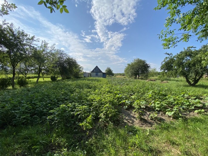 Земельна ділянка м. Ковель ,, Білий налив‘‘ - фото 1