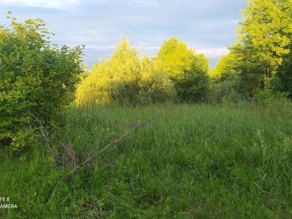 Продам дачні ділянки Ковель