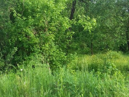 Продам земельний участок 10 сот Коростень