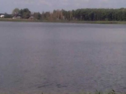 Ціну зменшено! Продаю земельну ділянку неподалік водосховища Коростень