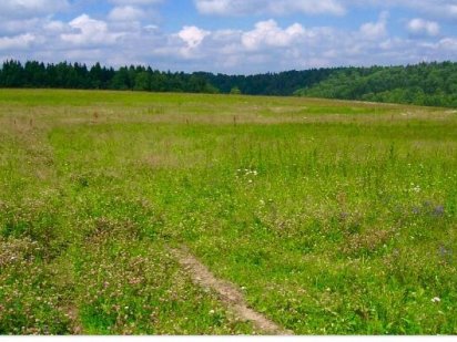 Земельні ділянки Коростышев