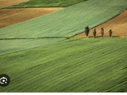 Продам земельний пай Лебедин