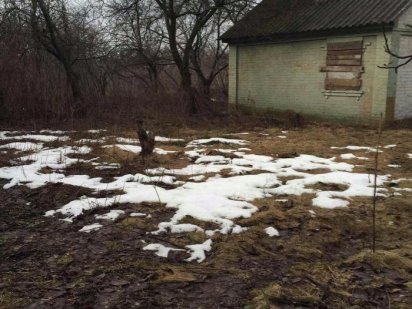 Продам в г.Лубны приватизированый земельный участок Лубни