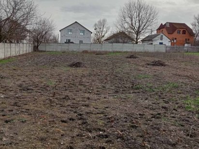 Продаж землі, Царське село, Малин Малин