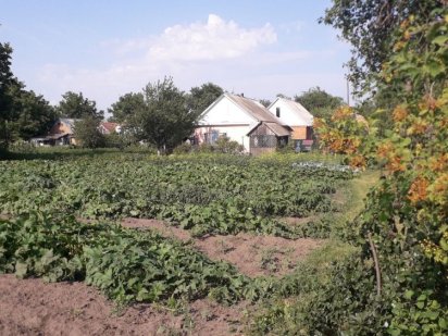 Продам земельну ділянку Миргород