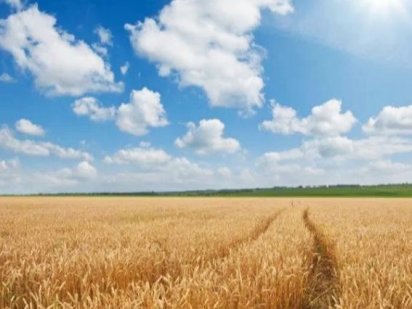 Продаю земельний пай Могилів-Подільський