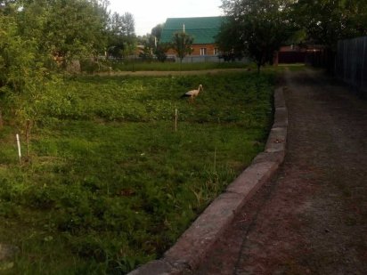 Продам земельный участок под застройку в Миргороде Миргород