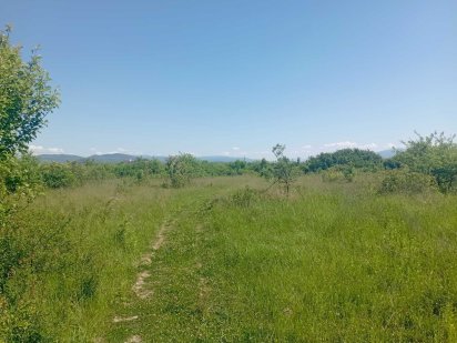 Продаж земельної ділянки с. Павшино (від власника),  10 Сотин Мукачево