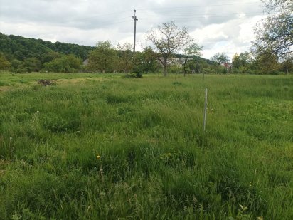 Продаж рівної земельної ділянки в місті. Мукачеве