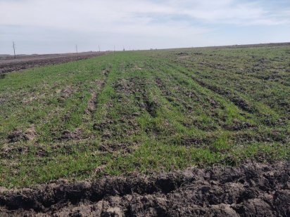 Продам паї не в оренді Нетішин