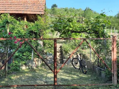 Продаж дачної ділянки Мукачево Мукачево