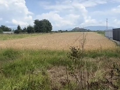 Передмістя Мукачево ділянка 17 сот дешево Мукачево