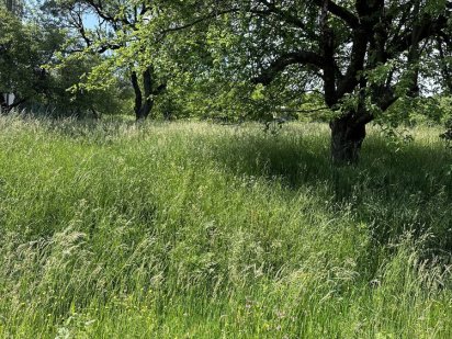 Продається земельний участок під будівництво Мукачево